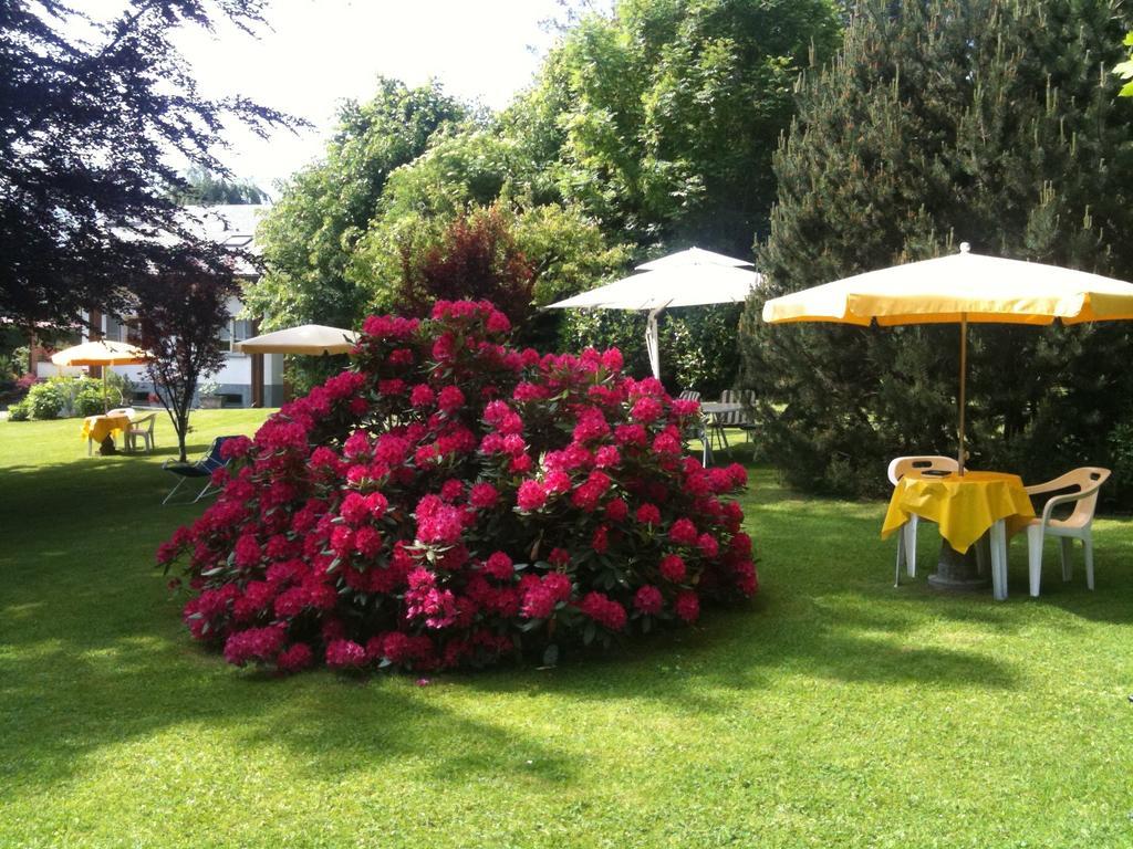 Albergo Milano Snc ลานโซ ดินเตลวิ ภายนอก รูปภาพ